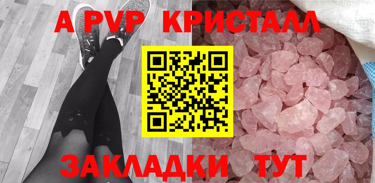 Alfa_PVP СК Павловский Посад