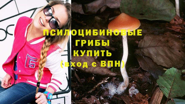 гашиш Новозыбков