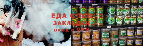 амф Ельня