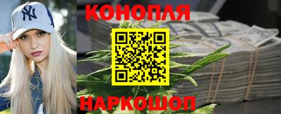 сатива Кимры